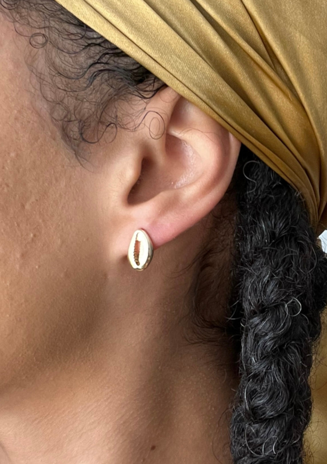 18k gold-filled cowrie shell stud earrings
