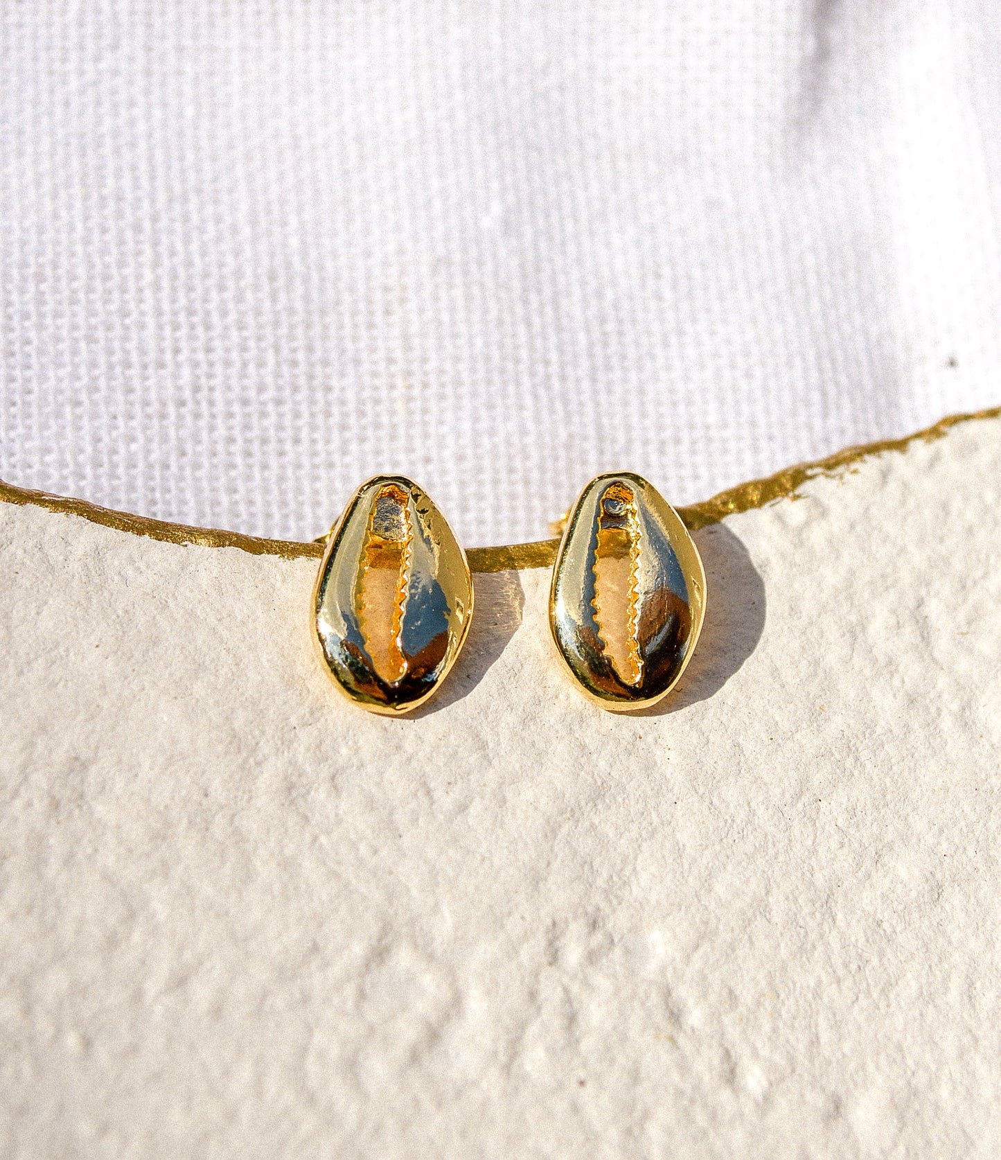 18k gold-filled cowrie shell stud earrings